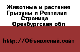 Животные и растения Грызуны и Рептилии - Страница 2 . Оренбургская обл.